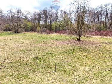 Działka Budy Zosine