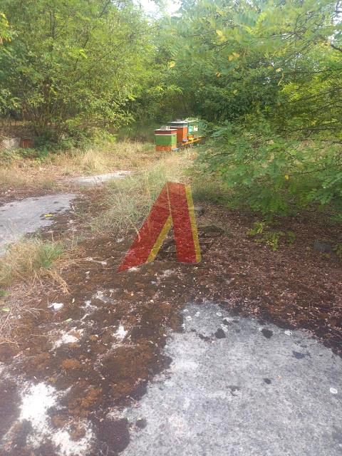 Działka usługowa Szczyglice