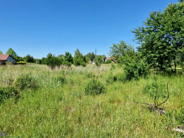 Działka budowlana Pisary