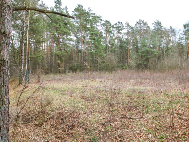 Działka budowlana Rokitnica