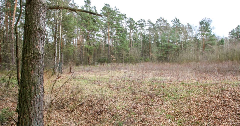 Działka budowlana Rokitnica