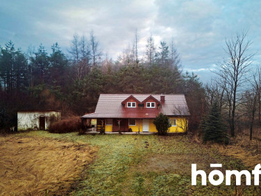 Dom czarny las-kolonia