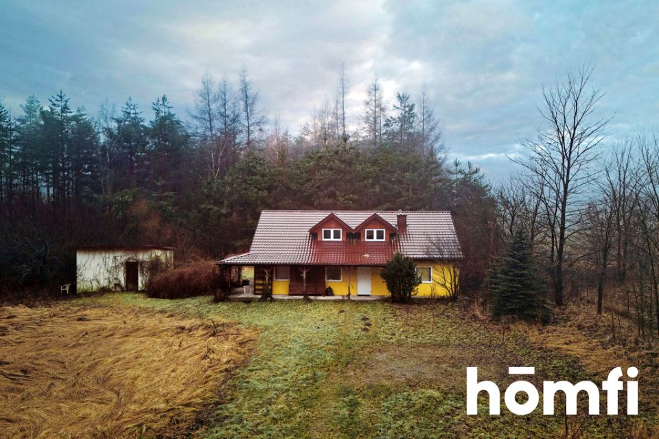 Dom czarny las-kolonia