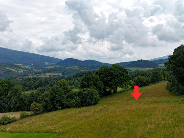 Działka budowlana Przenosza