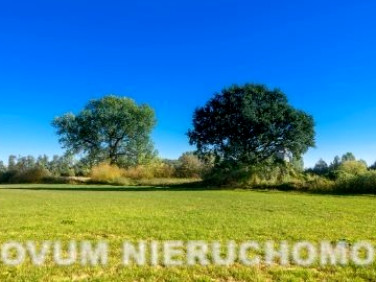 Działka budowlana Nakło Śląskie