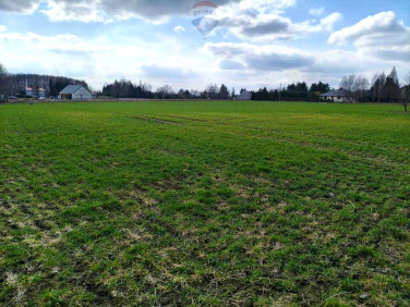 Działka budowlana Miszewko Strzałkowskie sprzedam