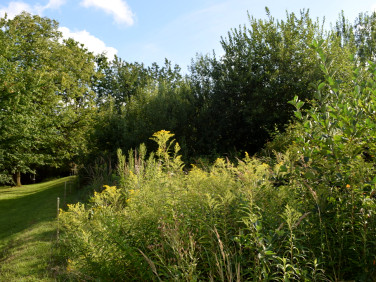 Działka rolna HERMANOWA