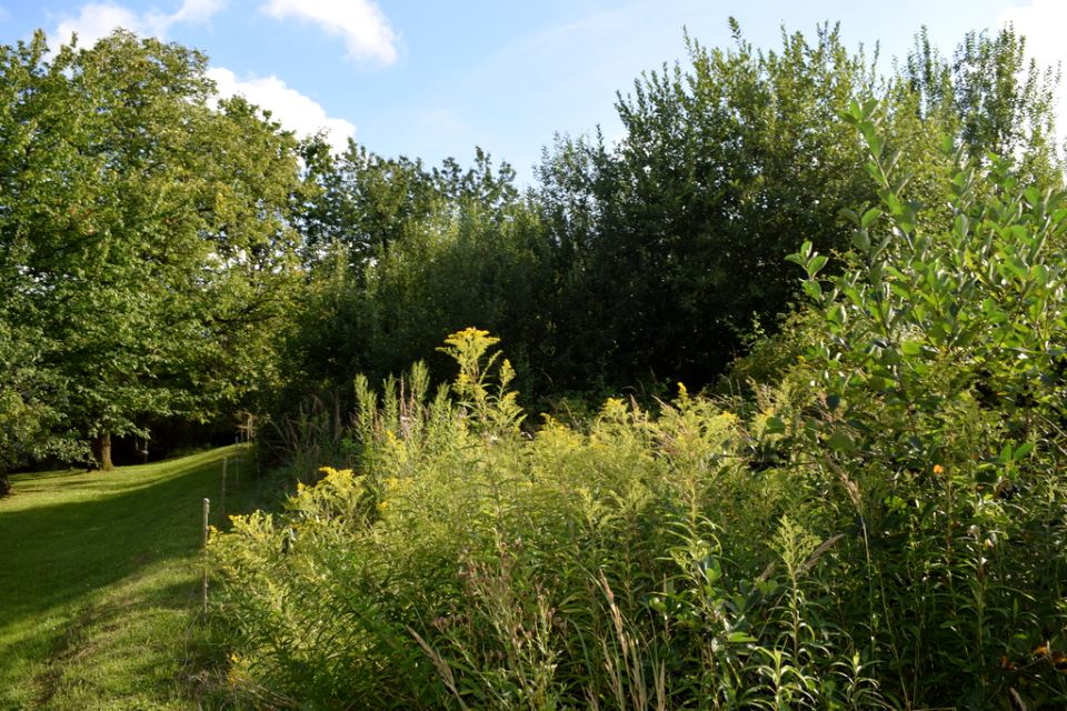 Działka rolna HERMANOWA