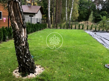 Działka Nowy Jasiniec