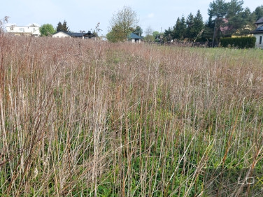 Działka budowlana Czarnowo