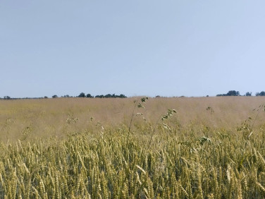 Działka budowlana Mogilany