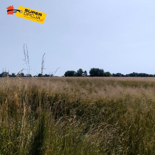 Zdjęcie 2