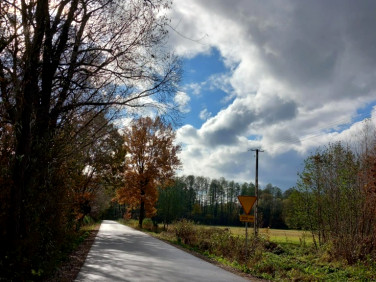 Działka rolna Morzyczyn-Włóki