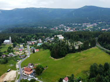 Mieszkanie przy lesie