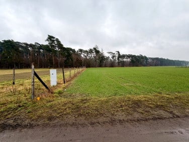 Działka przy lesie