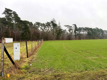 Działka inna Srocko Małe