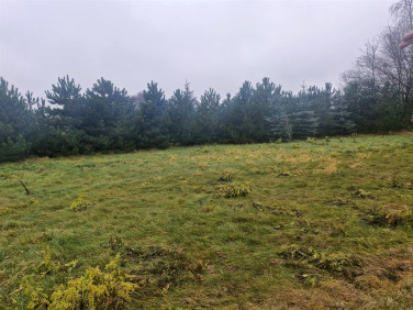 Pusta działka Orzechówek