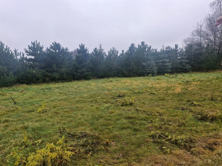 Pusta działka Orzechówek