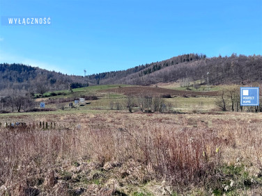 Działka budowlana Wałbrzych