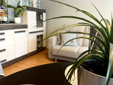 Mieszkanie Trzebiatów