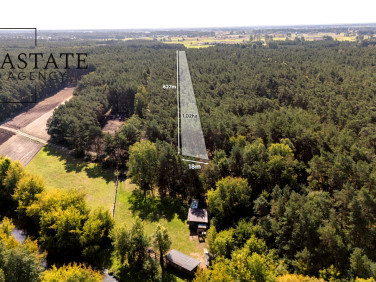 Działka leśna Maurzyce