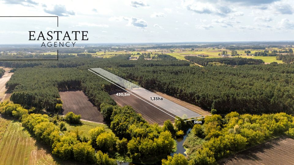Działka przy lesie