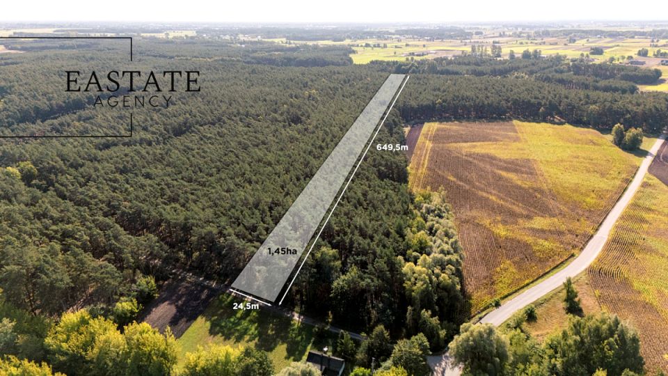 Działka przy lesie