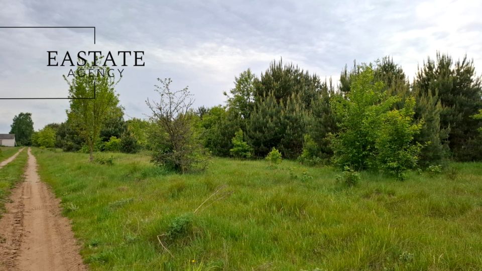 Działka przy lesie