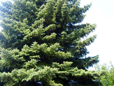 Działka inna Sulejówek