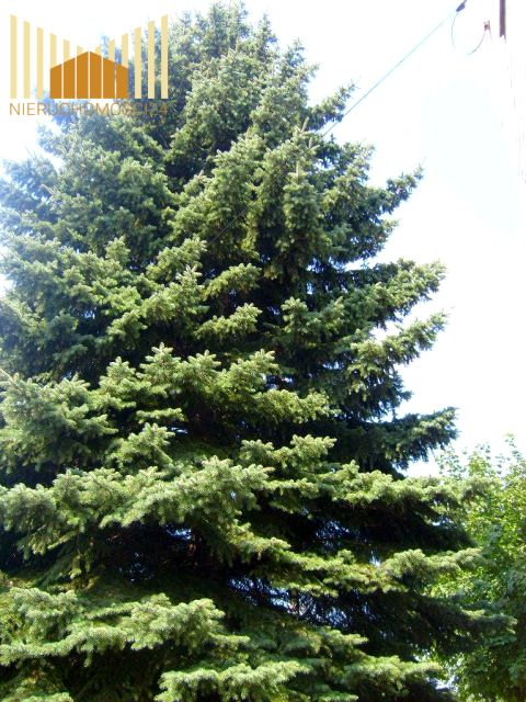 Działka inna Sulejówek