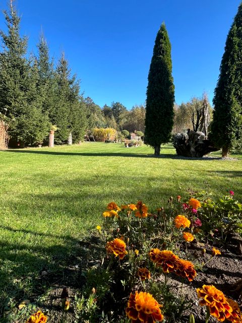 Działka rekreacyjna Bronowo