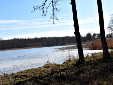 Działka rekreacyjna Sople