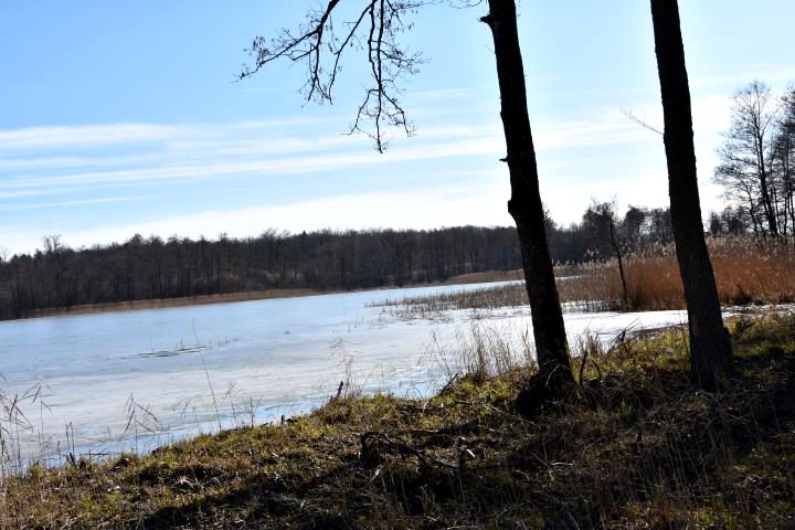 Działka rekreacyjna Sople