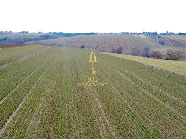 Działka budowlana Celiny