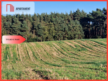 Działka budowlana Wiewiórczyn