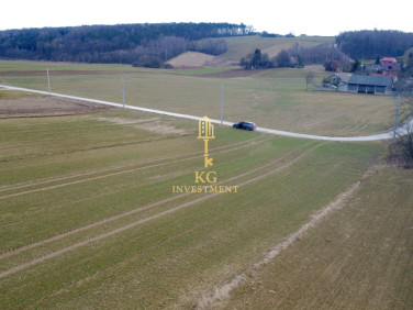 Działka siedliskowa Celiny