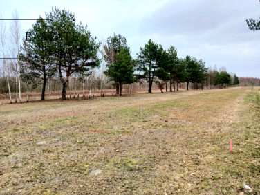 Działka budowlana Koryta