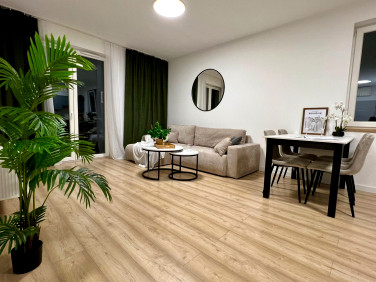 Mieszkanie przy lesie