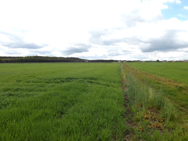 Działka budowlana Bażany