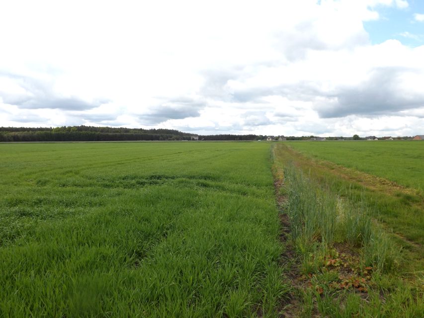 Działka budowlana Bażany