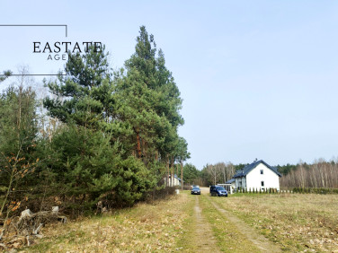 Działka przy lesie
