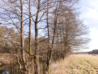 Działka siedliskowa Liszkowo