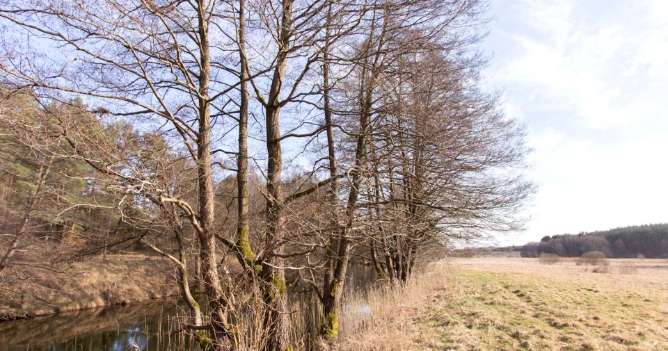 Działka siedliskowa Liszkowo