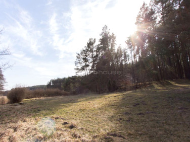 Działka rekreacyjna Liszkowo