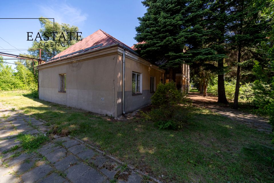 Działka przy lesie