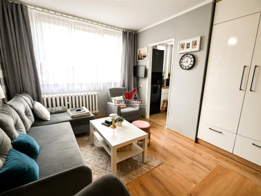 Mieszkanie Złotoryja