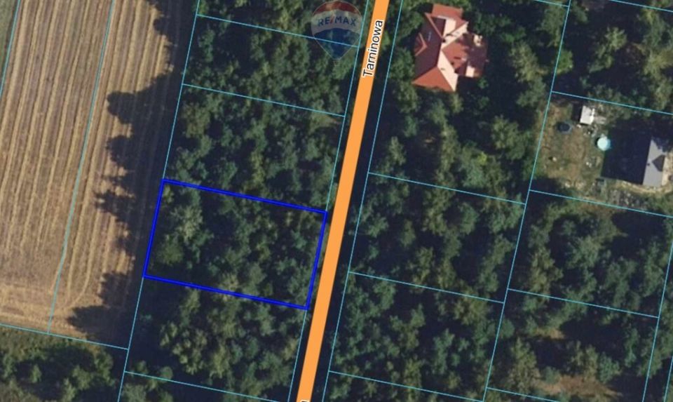 Działka budowlana Kuklówka Radziejowicka