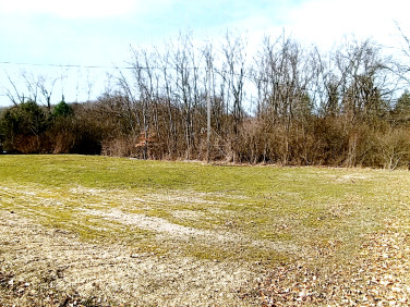 Działka budowlana Niegowonice