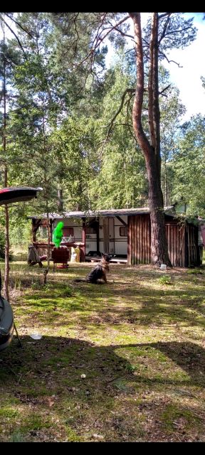 Działka budowlana Ciemiętniki