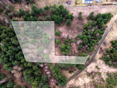 Działka Kędzierówka